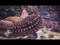 mhw re ゼロから始める狩猟生活 2