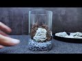 how to make a beginner terrarium step by step tutorial beginner tutorial