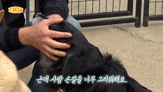 라니 친구들이 사람 손을 그리워하는 이유🐶멍킷리스트 Dangcketlist🐾