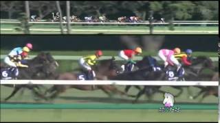 【ロードカナロア】2013年_第47回 スプリンターズステークス