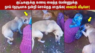 நாய் நேரடியாக நன்றி சொல்றத பார்த்து இருக்கிங்களா | வைரல் வீடியோ