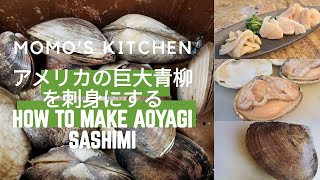 How to make yellow clam sashimi / アメリカの巨大アオヤギのさばき方