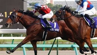 2010 Japan Sprinters Stakes G1 - Ultra Fantasy (極奇妙) - HW.Lai (黎海榮頫放爆出32倍冷門首位本地華將在日本贏一級賽) - 衝鋒駿驥被貶第四