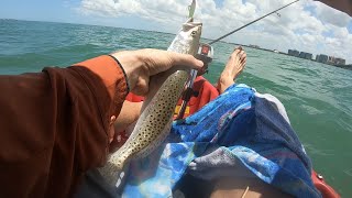 Kayak Fishing Sarasota Bay with Rapala Lures!