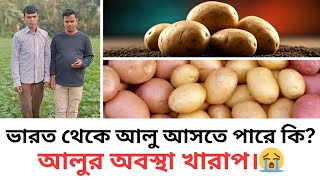 ভারত থেকে আলু আসলে কী হবে? | আলুর অবস্থা খারাপ | সরাসরি কৃষকের মাঠ থেকে