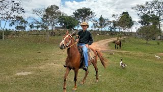 EDUCAÇÃO DE CAIPIRA - Ivan Souza \u0026 Júlio César