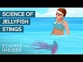 Why You Shouldn't Pee On A Jellyfish Sting