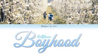 Boy Hood 소년기 English Lyrics - Nollflower 놀플라워