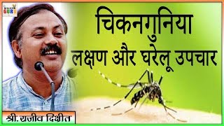 चिकनगुनियाके लिये घरेलू उपाय | Chikungunya Treatment Tulsi | Rajiv Dixit