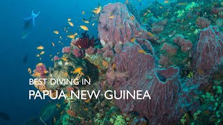 Best Scuba Diving in the World - Papua New Guinea