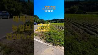 강화군불은면삼동암리.전원주택지.근생1종건물.주말농장.농업경영체등록.934평에서150.200.300평분할매매.#shorts