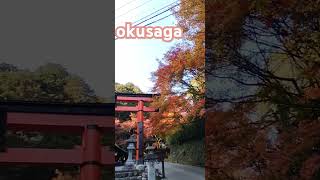 #japan #kyoto #saga #okusaga #日本 #京都 #奥嵯峨#autumn #紅葉 #秋