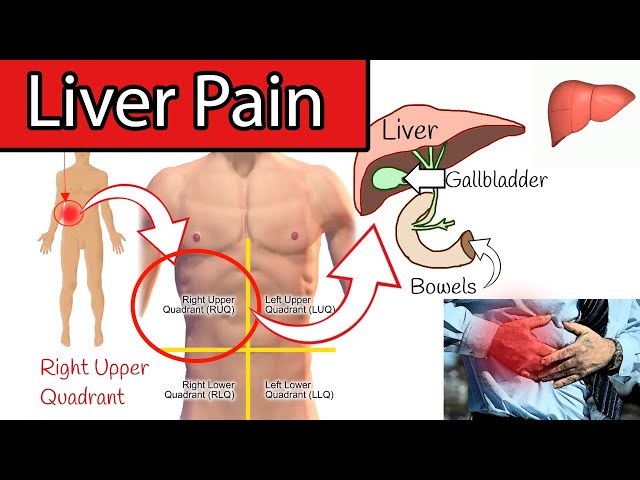 Right Upper Quadrant Pain Pain In Lower Left Abdomen Low Stomach
