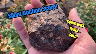 Cabbing Some Beautiful Llanite That Was Labeled Wrong In A Silent Rock Auction