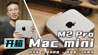 我的第一台Mac：Mac mini M2 Pro ｜ 妙控板 固态硬盘 拓展坞配件选择