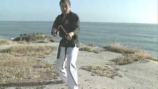 Nunchaku Intro.wmv