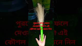 পুরনো ঝাড়ু ফেলে দেওয়ার আগে এই কৌশল গুলো জেনে নিন #vastu #viral#mahadev