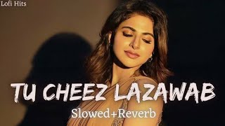Tu ChEeZ LaZaWaB [slowed+reverb] || Pradeep Boora || Sapna choudhary