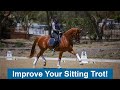 Common Mistakes in Sitting Trot