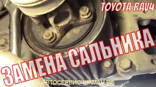 Замена сальника редуктора на TOYOTA RAV4 своими руками. Пошаговая инструкция по замене сальника RAV4