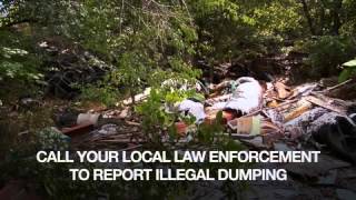 Stop Illegal Dumping - Pigs