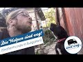 Die Welpen sind weg!🐶 (Straßenhunde in Bulgarien)