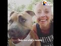 Pit Bull Dog Screams Like A Person When He's Happy  The Dodo Pittie Nation