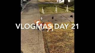 VLOGMAS \u0026 A Corgi Day 21