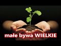 małe bywa WIELKIE