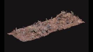 Plot 1 point cloud animation