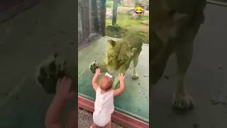 💫cute babybaby🥀 try not to laugh🥰123 go💞123go🎊 #shorts #short #viral #trending #cutebaby✨