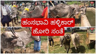 Haunsbhavi bulls market ಹಂಸಭಾವಿ ಎತ್ತಿನ ಮಾರುಕಟ್ಟೆ