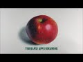 How to Draw An APPLE // Chris Cheng