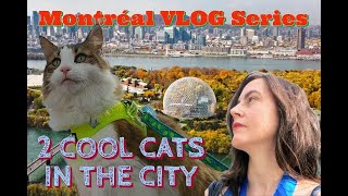 Montréal Vlog Series 🐈 2 Cool Cats In The City 🌆 Day 4/6 Sunday 📚Tabling at Expozine 2022 Zine Fair