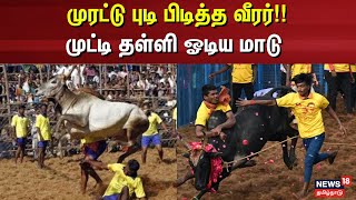 Alanganallur Jallikattu | முரட்டு புடி பிடித்த வீரர்!! - முட்டி தள்ளி ஓடிய மாடு | Madurai