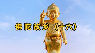 这里在佛陀释加牟尼的诞生地蓝毗尼#佛教圣地#蓝毗尼佛祖诞生地#尼泊尔