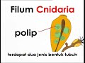 EduwebTV   INFO SAINS   Invertebrata