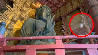 コレ!! 偶然見た人奇跡が始まる。東大寺 大仏　奈良 Todaiji Temple