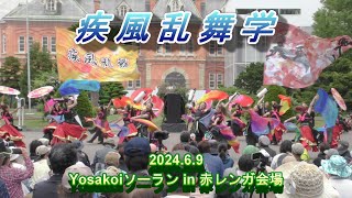 疾風乱舞　　Yosakoiソーラン in 赤レンガ会場　2024.6.9