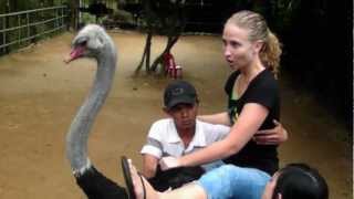 Riding an Ostrich!!