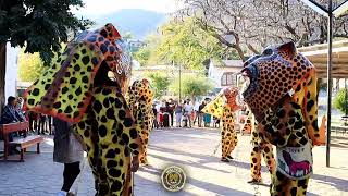 Procesión de la Virgen de la Purísima Concepción En Atenango Del Río 2023.