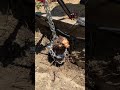 Rose bush removal using a farm jack