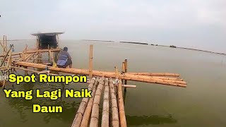 KONDISI DAN SUASANA SPOT  RUMPON YANG LAGI NAIK DAUN( MANCING SEMARANG