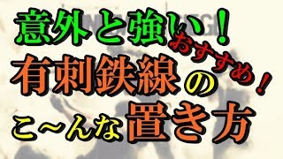 【初心者講座＃14】実は強い！？有刺鉄線の置き方。　ps4版 レインボーシックス シージ　RAINBOWSIX SIEGE　【１から教えます!】