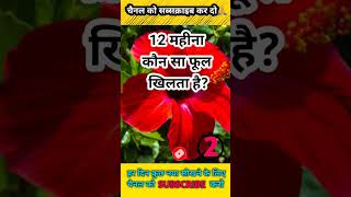 12 महीना कौन सा फूल खिलता है | Amazing Facts | Rochak Tathya | Hindi Facts