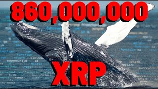 860,000,000 XRP Purchased By WHALES