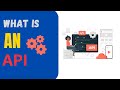 What is an API? (For Beginners)