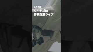 A350タイヤ格納　那覇空港ライブ【ちんあなご】