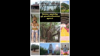 கோவை அருள்மிகு ஸ்ரீ தர்மலிங்கேஸ்வர் ஆலயம்