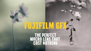 The PERFECT Macro Lens for Fujifilm GFX 100 II and GFX 50s II